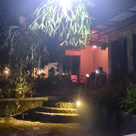 Banyu Homestay Banyuwangi  Exteriör bild