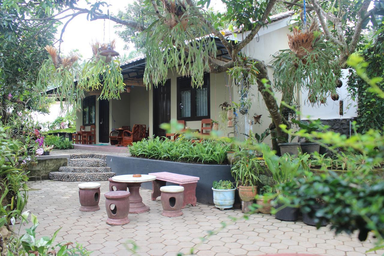 Banyu Homestay Banyuwangi  Exteriör bild