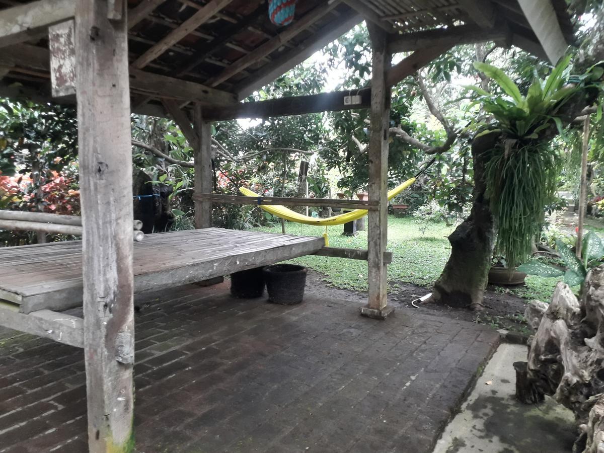Banyu Homestay Banyuwangi  Exteriör bild