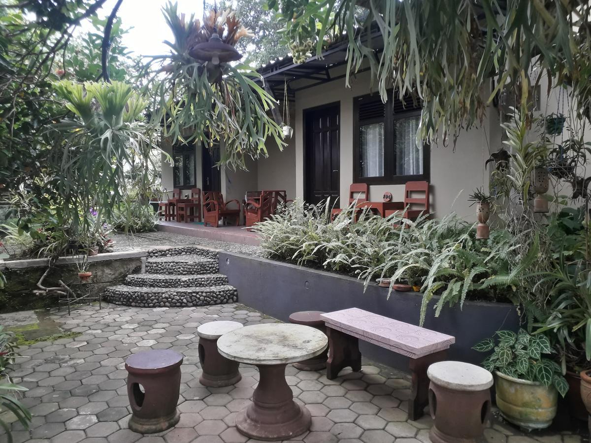Banyu Homestay Banyuwangi  Exteriör bild