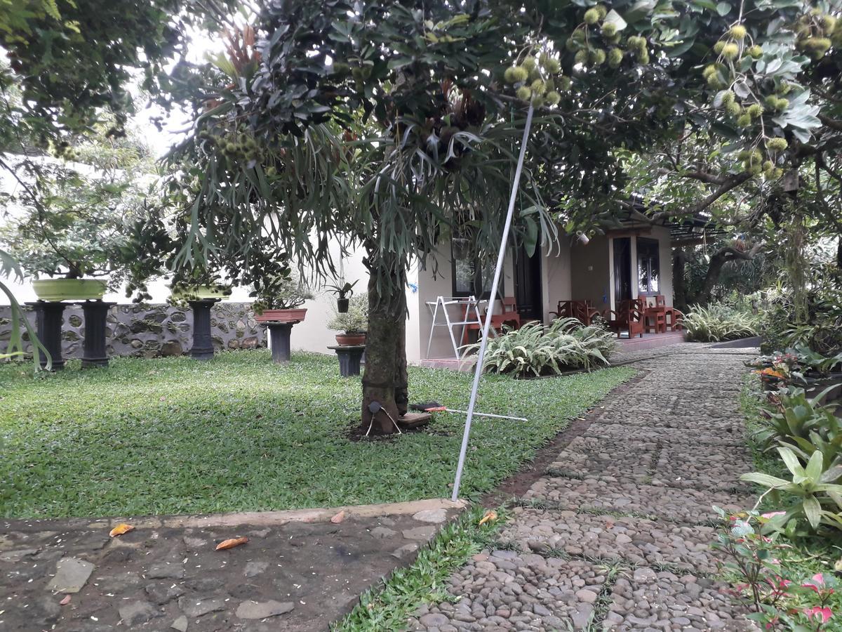 Banyu Homestay Banyuwangi  Exteriör bild