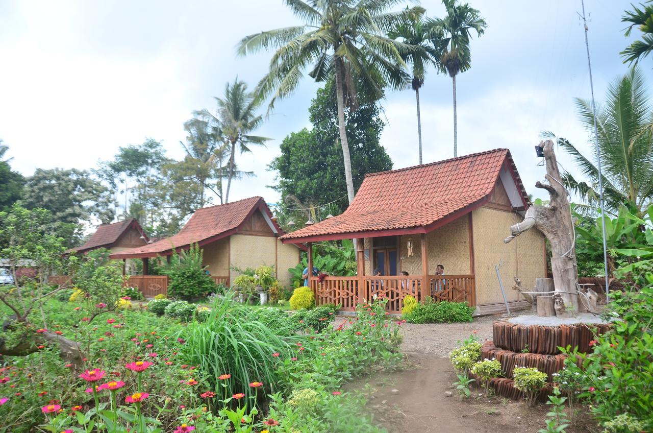 Banyu Homestay Banyuwangi  Exteriör bild