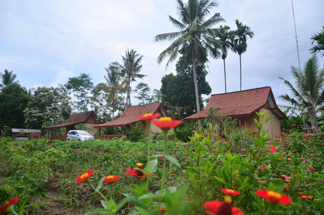 Banyu Homestay Banyuwangi  Exteriör bild