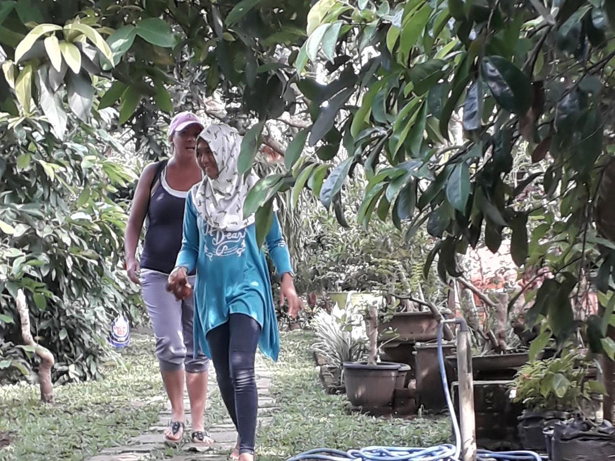 Banyu Homestay Banyuwangi  Exteriör bild