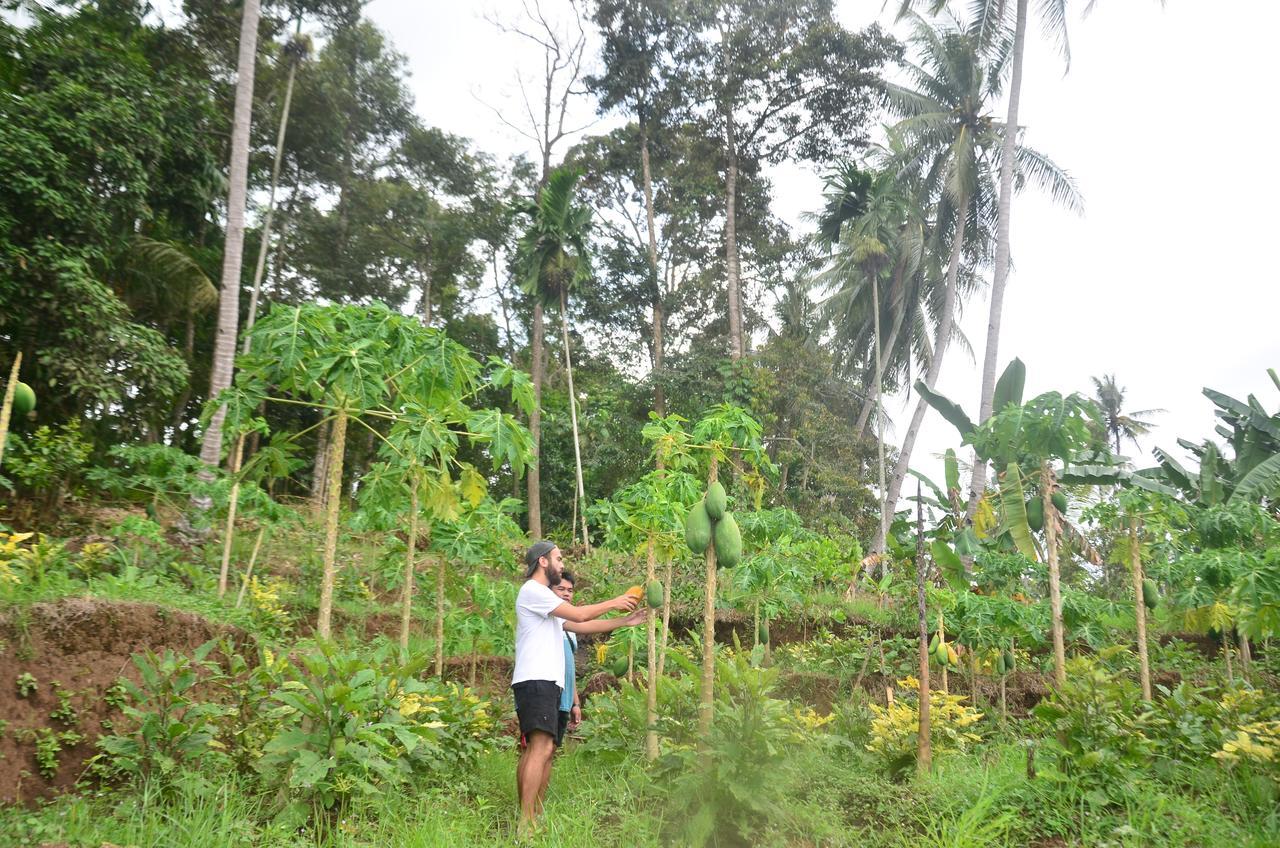 Banyu Homestay Banyuwangi  Exteriör bild