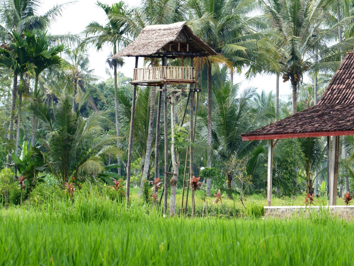 Banyu Homestay Banyuwangi  Exteriör bild