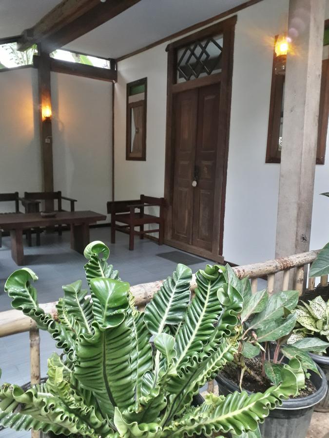 Banyu Homestay Banyuwangi  Exteriör bild
