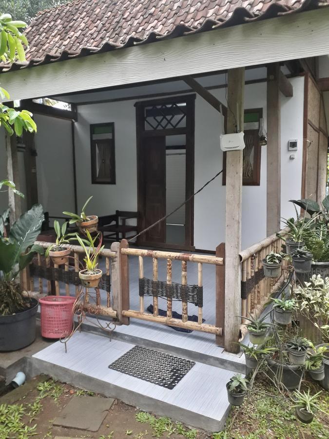 Banyu Homestay Banyuwangi  Exteriör bild