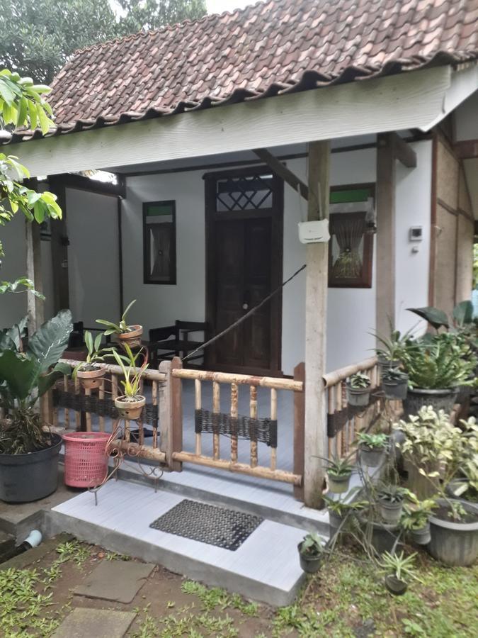 Banyu Homestay Banyuwangi  Exteriör bild